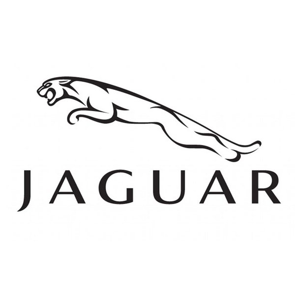 New Jaguar 'taps driver on shoulder' to warn of cyclists