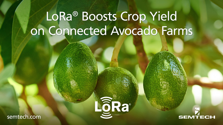 Semtech's LoRa® Devices Boost Crop Yield on Connected Avocado Farms
