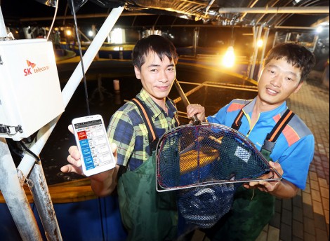 SK Telecom Starts Pilot Operation of IoT-based Fish Farm Management System