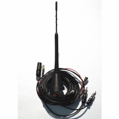 AM/FM DAB Roof Mount Antenna (A.3022.01)